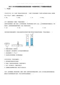 [物理][期末]2023~2024学年陕西西安高新区西安高新一中初级中学初二下学期期末物理试卷(无答案)