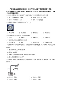 广西壮族自治区来宾市2023-2024学年八年级下学期物理期中试题