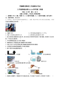 湖南省长沙市明德集团2023-2024学年八年级下学期物理期末试卷(无答案)