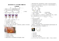 宁夏回族自治区石嘴山市惠农区回民学校2023～2024学年九年级上学期期中考试物理试卷