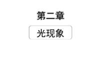 2024山东中考物理二轮重点专题研究 第二章  光现象（课件）