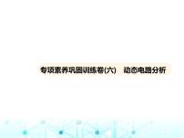 沪粤版初中物理九年级专项素养巩固训练卷(六)动态电路分析课件