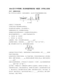 2024四川中考物理二轮重难题型精讲练 专题四 力学重点实验（含答案）