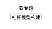 2024四川中考物理二轮重点专题研究 微专题 杠杆模型构建（课件）