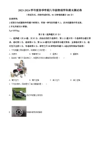 广西南宁市第十四中学2023-2024学年八年级下学期期末物理试题（原卷版+解析版）