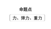 2024长沙中考物理二轮专题复习 中考命题点 力、弹力、重力（课件）