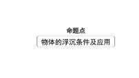 2024长沙中考物理二轮专题复习 中考命题点  物体的浮沉条件及应用（课件）