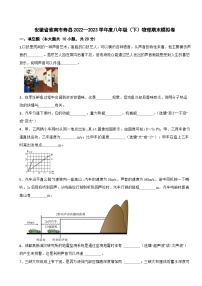 安徽省淮南市寿县2022—2023学年度八年级下学期物理期末模拟卷