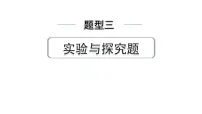 2024中考物理备考专题 题型三 实验与探究题 (课件)