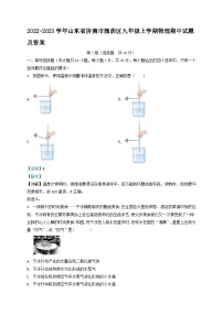 2022-2023学年山东省济南市槐荫区九年级上学期物理期中试题及答案