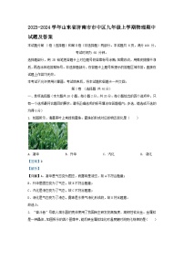 2023-2024学年山东省济南市市中区九年级上学期物理期中试题及答案