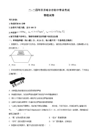 精品解析：2024年黑龙江省齐齐哈尔市中考物理试题（原卷版）