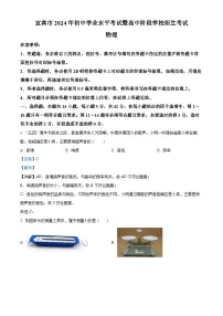精品解析：2024年四川省宜宾市中考物理试题（解析版）