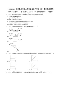 2023-2024学年黑龙江省大庆市肇源县八年级（下）期末物理试卷