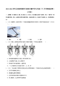 2023-2024学年云南省昭通市巧家县大寨中学九年级（下）月考物理试卷（3月份）