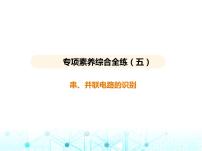 苏科版初中九年级物理专项素养综合练(五)串并联电路的识别课件