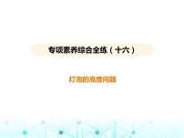 苏科版初中九年级物理专项素养综合练(十六)灯泡的亮度问题课件