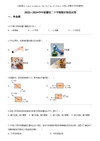 [物理]2023_2024学年新疆初二下学期期末物理试卷