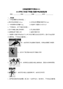 云南省昭通市巧家县2023-2024学年八年级下学期4月期中考试物理试卷(含答案)