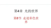 物理教科版（2024）第四章 光的世界8 走进彩色世界教案配套ppt课件