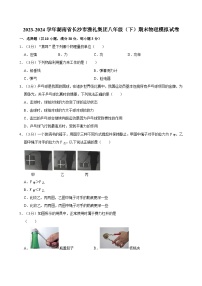 湖南省长沙市雅礼集团2023-2024学年八年级下学期期末物理模拟试卷