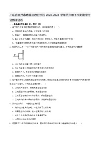 广东省惠州市惠城区惠台学校2023-2024学年八年级下学期期中考试物理试卷