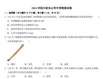 2024年四川省乐山市中考物理试题