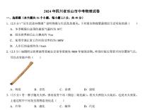 2024年四川省乐山市中考物理试题
