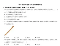 2024年四川省乐山市中考物理试题