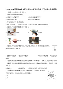 2023-2024学年湖南省益阳市沅江市两校八年级（下）期末物理试卷（含答案）