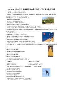 2023-2024学年辽宁省抚顺市新宾县八年级（下）期末物理试卷（含答案）