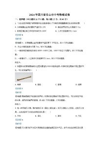 [物理]四川省乐山市2024年中考真题试卷