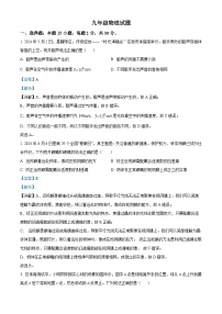 2024年山东省枣庄市中考真题物理试题
