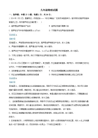 2024年山东省枣庄市中考真题物理试题