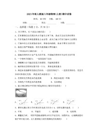 2023年秋深圳中学人教版八年级物理(上册)期中试卷及答案