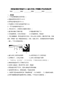 陕西省渭南市韩城市2024届九年级上学期期末考试物理试卷(含答案)