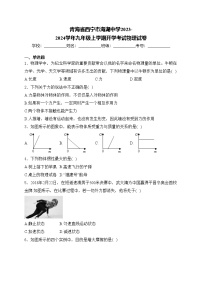 青海省西宁市海湖中学2023-2024学年九年级上学期开学考试物理试卷(含答案)