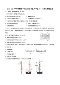 2023-2024学年河南省平顶山市宝丰县八年级（下）期末物理试卷（含答案）