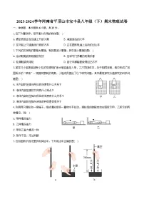 2023-2024学年河南省平顶山市宝丰县八年级（下）期末物理试卷（含答案）