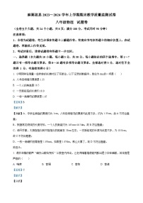 云南省文山州麻栗坡县2023～2024学年八年级上学期期末教学质量监测物理试题（解析版）