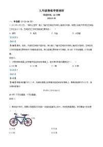 2024年江苏省徐州市沛县中考一模物理试题（解析版）