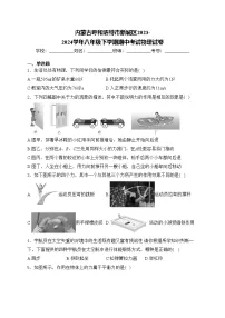 内蒙古呼和浩特市新城区2023-2024学年八年级下学期期中考试物理试卷(含答案)