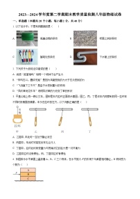 河北省邯郸经济技术开发区2023-2024学年下学期八年级物理期末试卷