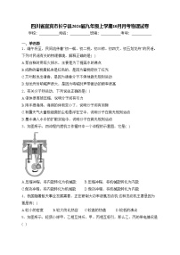 四川省宜宾市长宁县2024届九年级上学期10月月考物理试卷(含答案)