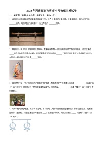2024年河南省驻马店市中考三模物理试题（原卷版+解析版）