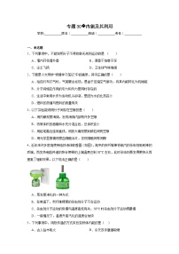中考物理二轮复习重难点题型分类汇编与专项突破专题30内能及其利用试题含解析答案