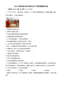 2024年陕西省宝鸡市陈仓区中考一模物理试题（原卷版+解析版）