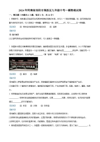 2024年河南省洛阳市涧西区中考一模物理试题（解析版）