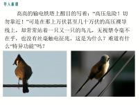 初中物理教科版（2024）九年级上册1 欧姆定律教学ppt课件