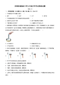 山东省济南东城逸家中学2024-2025学年九年级上学期开学考试物理试题（原卷版+解析版）